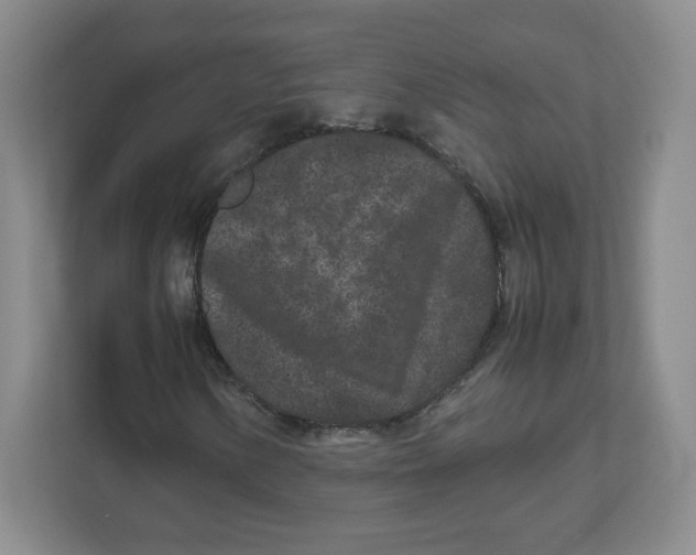 X0000111191154200907291158