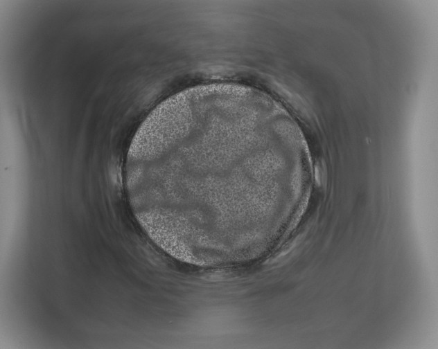 X0000111191155200907291158