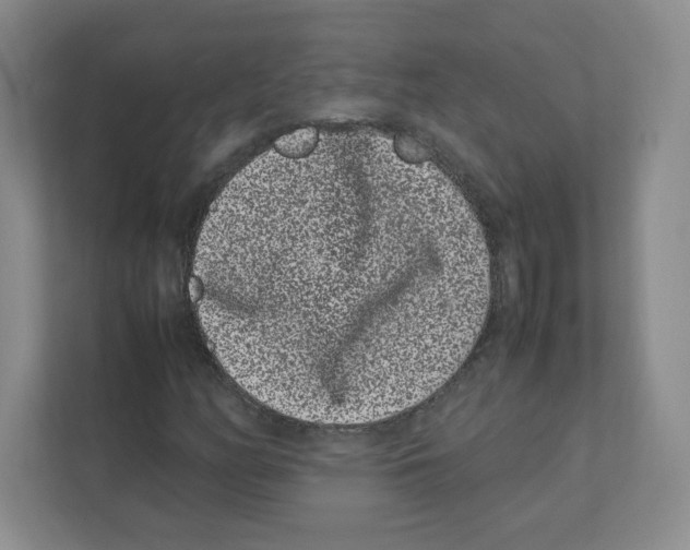 X0000111191158200907291157