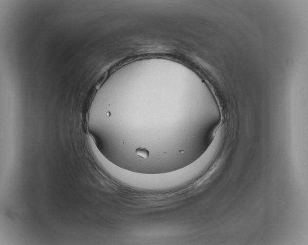 X0000111191161200907291157
