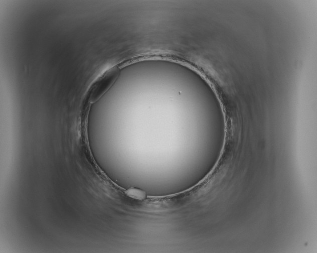 X0000111191165200907291157