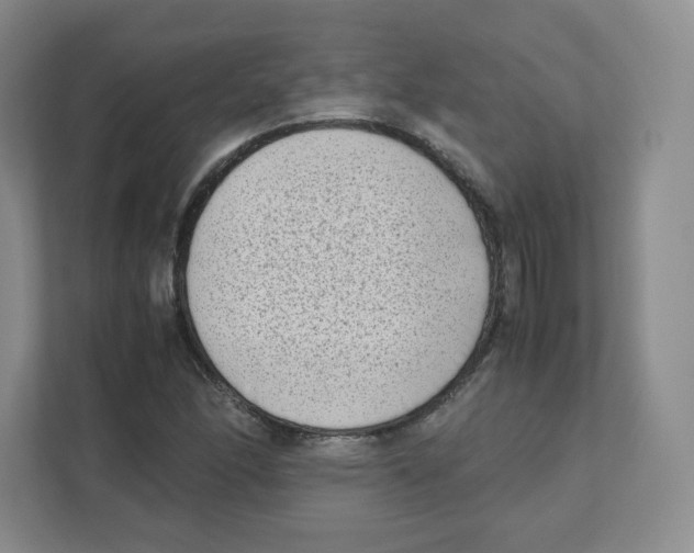 X0000111191166200907291157