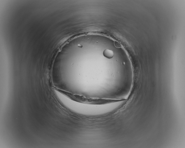 X0000111191169200907291157