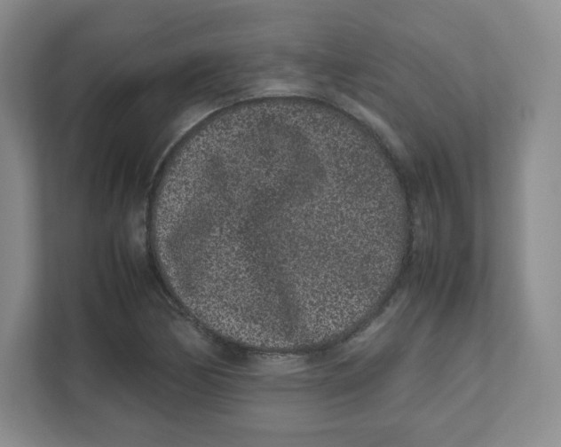 X0000111191170200907291157