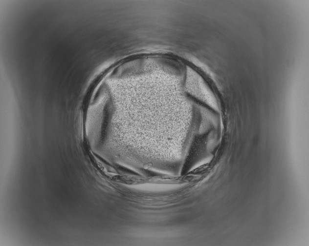 X0000111191171200907291157