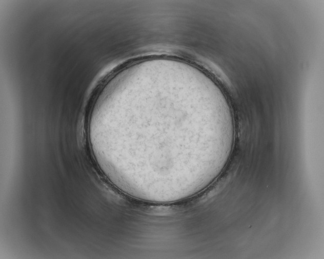 X0000111191172200907291157
