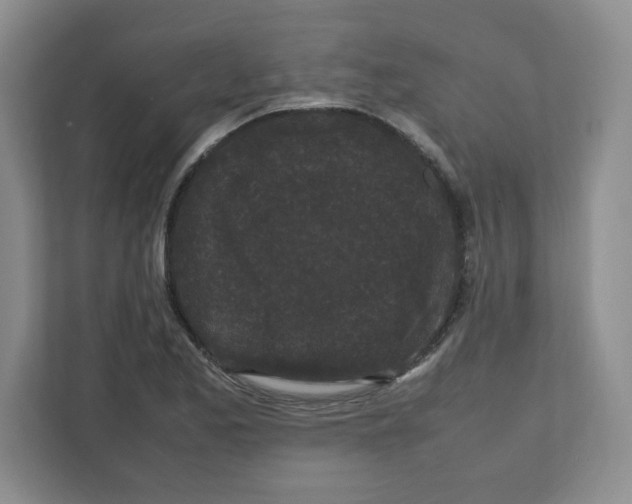 X0000111191173200907291157