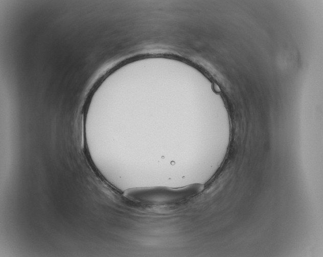 X0000111191175200907291157
