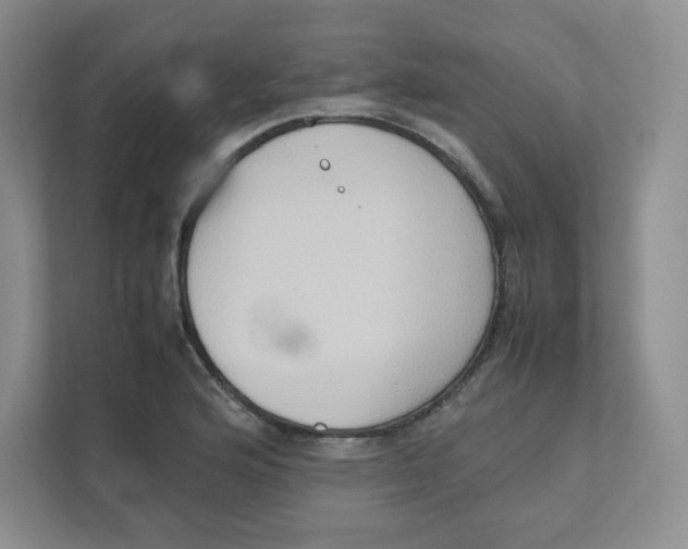X0000111191176200907291157