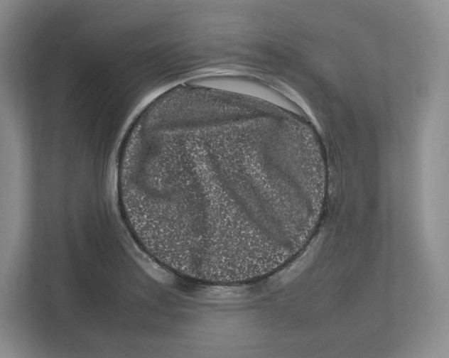X0000111191179200907291157