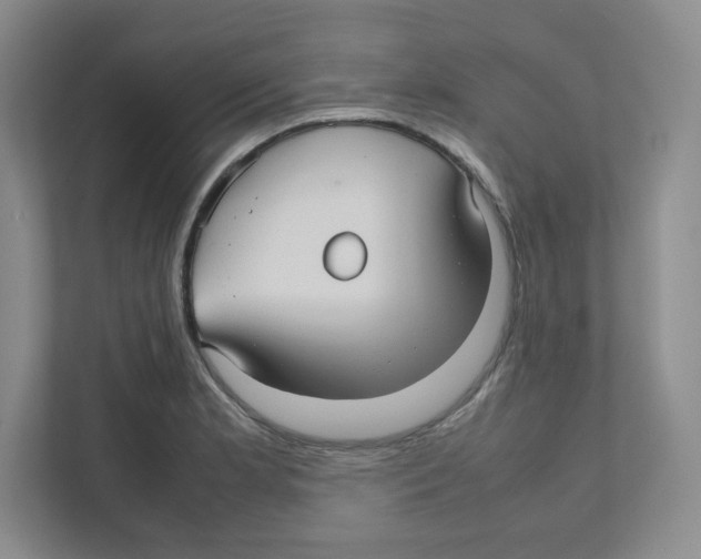 X0000111191181200907291157