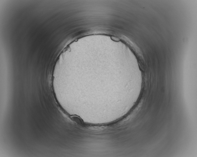 X0000111191185200907291157