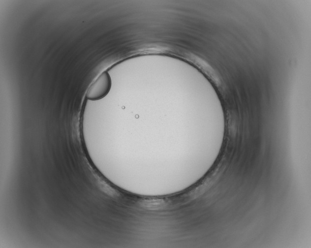 X0000111191186200907291157