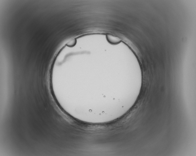 X0000111191187200907291157