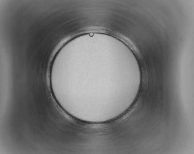 X0000111191188200907291157