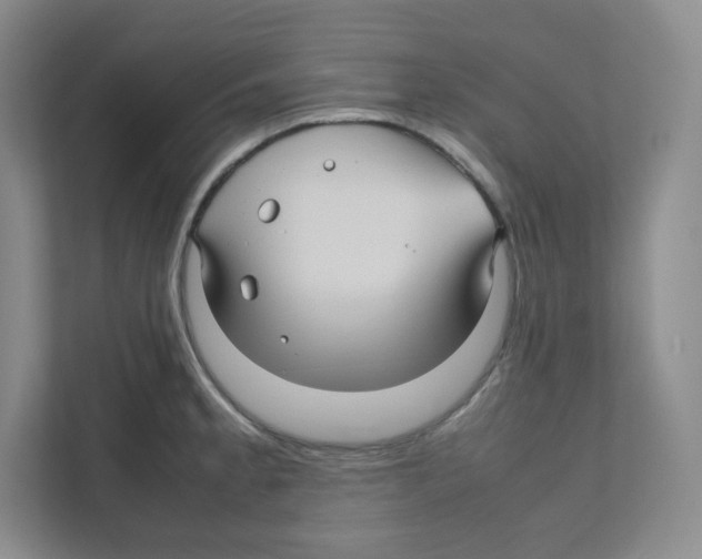 X0000111191189200907291157
