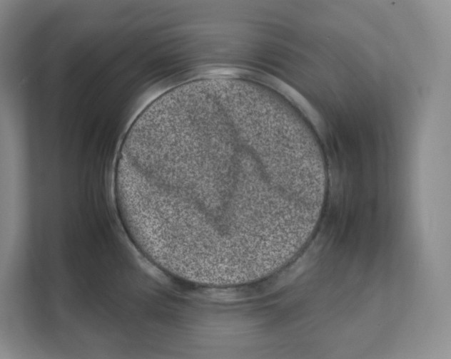 X0000111191194200907291157