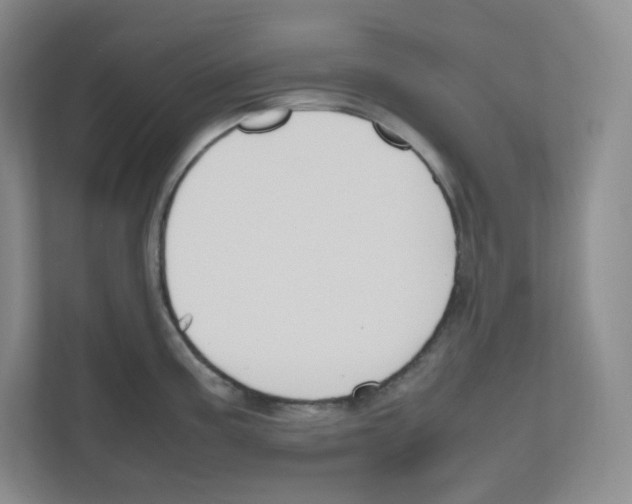 X0000111191195200907291157