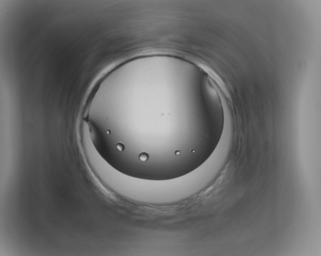 X0000111191197200907291157