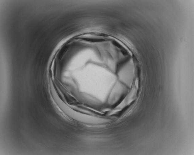 X0000111191200200907291157