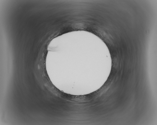 X0000111191201200907291156