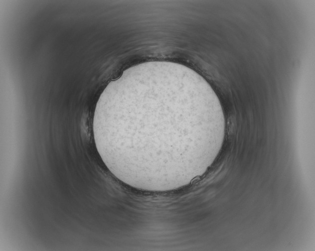 X0000111191202200907291156