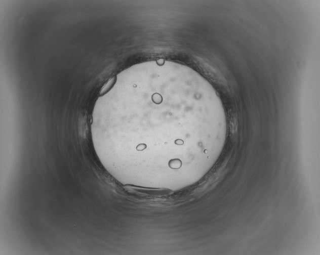 X0000111191204200907291156