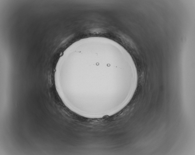 X0000111191205200907291156