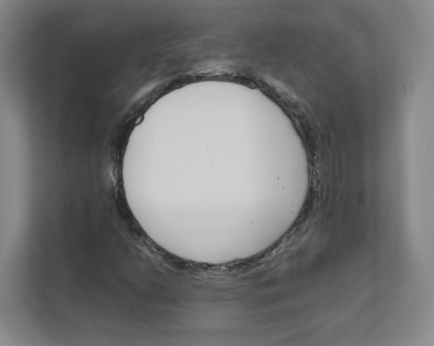 X0000111191206200907291156