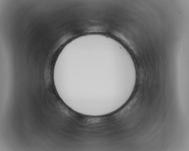 X0000111191211200907291156