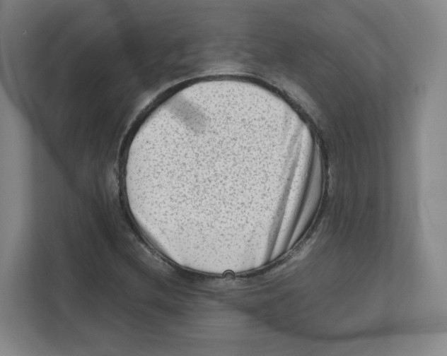 X0000111191212200907291156