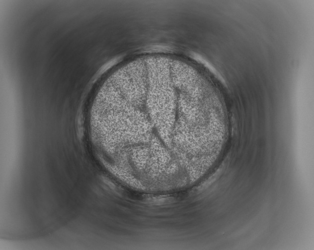 X0000111191213200907291156