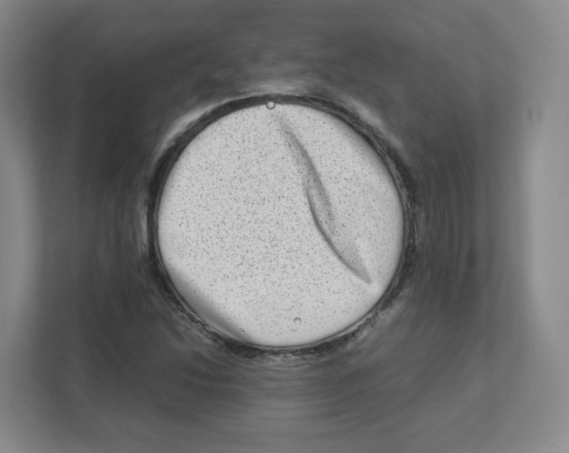 X0000111191214200907291156