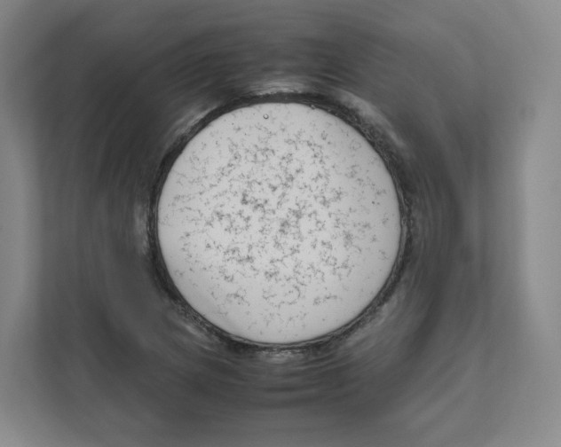 X0000111191217200907291157