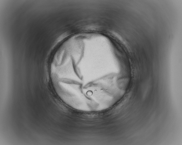 X0000111191219200907291157