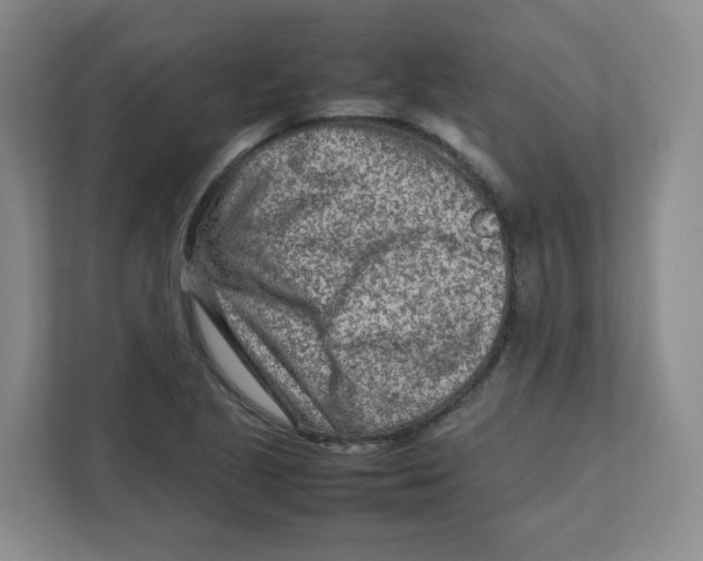 X0000111191221200907291157