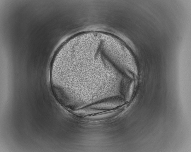 X0000111191224200907291157