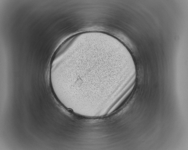X0000111191228200907291157