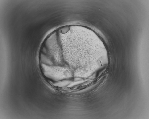 X0000111191230200907291157