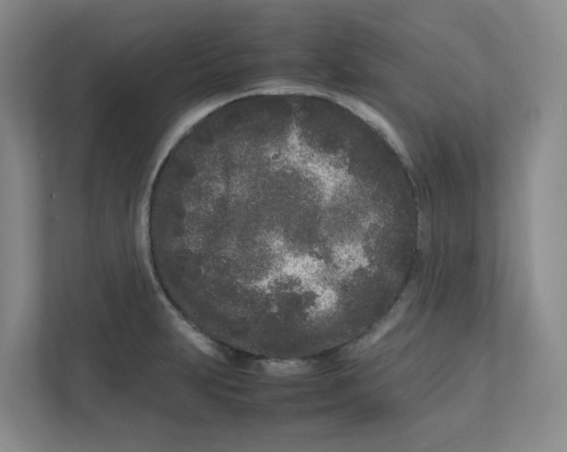 X0000111191231200907291157
