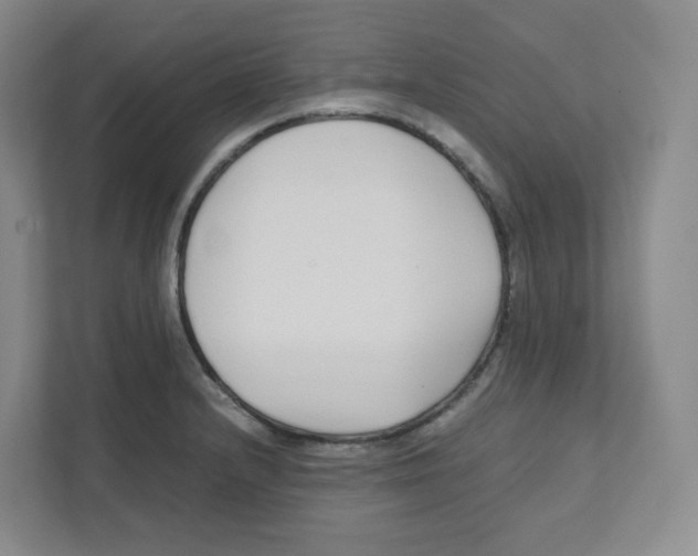 X0000111191232200907291157