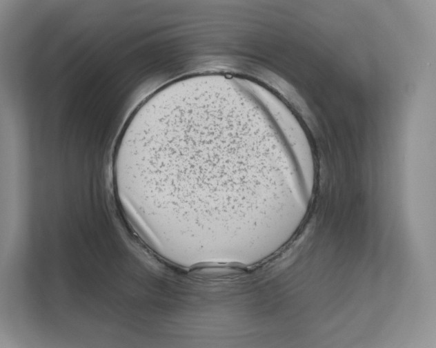 X0000111191234200907291157