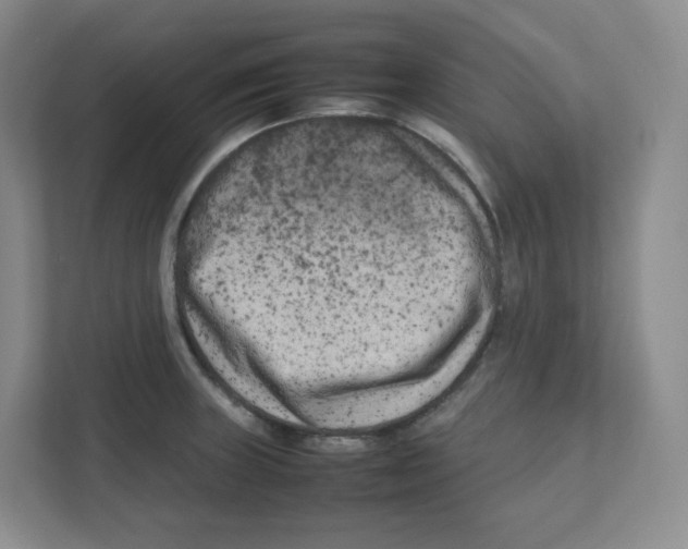 X0000111191235200907291157