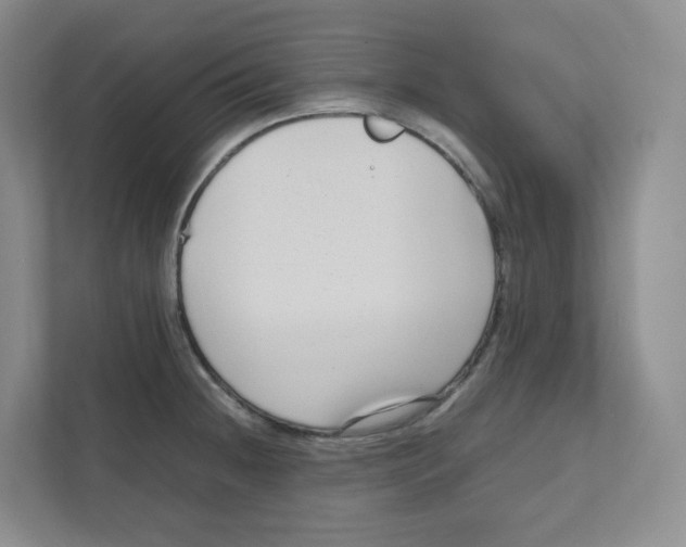 X0000111191236200907291157