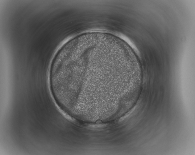 X0000111191237200907291157