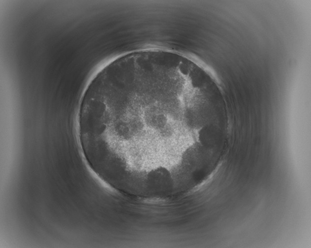 X0000111191239200907291157