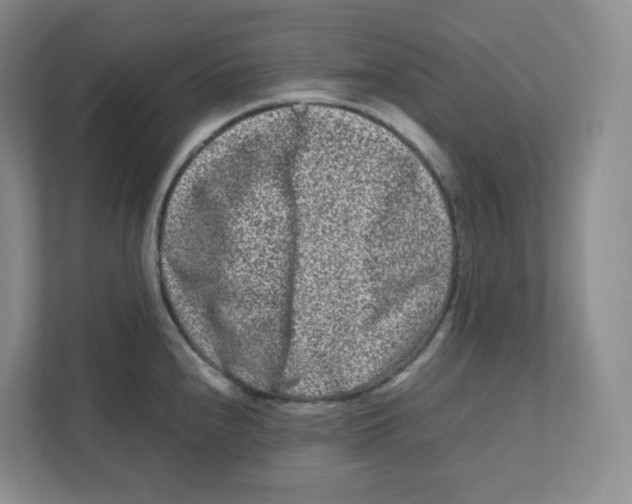 X0000111191240200907291157