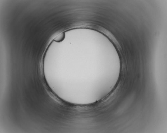 X0000111191242200907291157