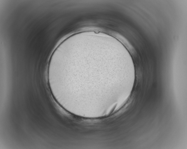 X0000111191244200907291157