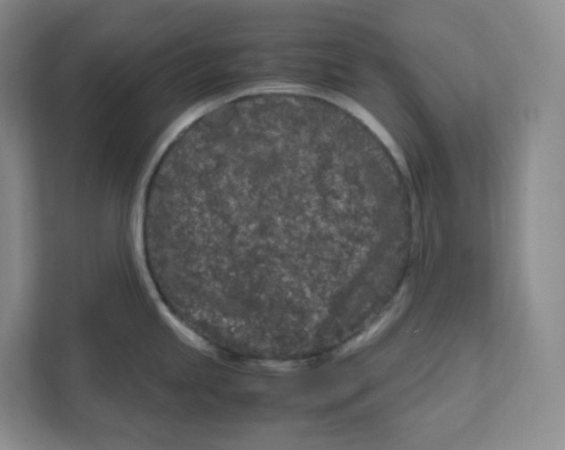 X0000111191245200907291157